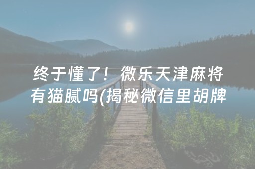 终于懂了！微乐天津麻将有猫腻吗(揭秘微信里胡牌技巧)