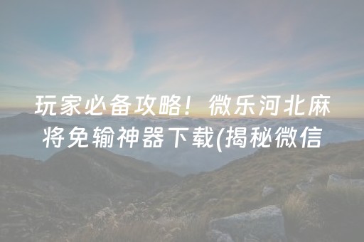 玩家必备攻略！微乐河北麻将免输神器下载(揭秘微信里助攻神器)