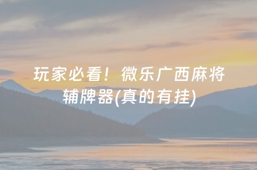 玩家必看！微乐广西麻将辅牌器(真的有挂)