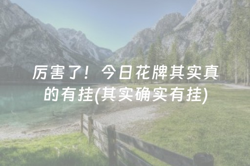 厉害了！今日花牌其实真的有挂(其实确实有挂)