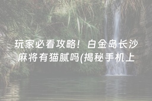 玩家必看攻略！白金岛长沙麻将有猫腻吗(揭秘手机上规律攻略)