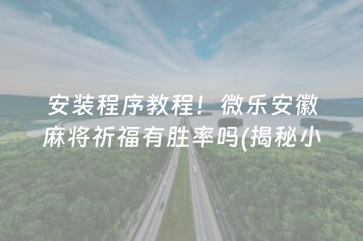 安装程序教程！微乐安徽麻将祈福有胜率吗(揭秘小程序助赢软件)