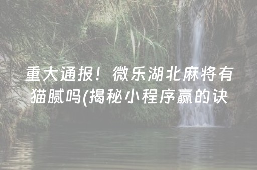 重大通报！微乐湖北麻将有猫腻吗(揭秘小程序赢的诀窍)