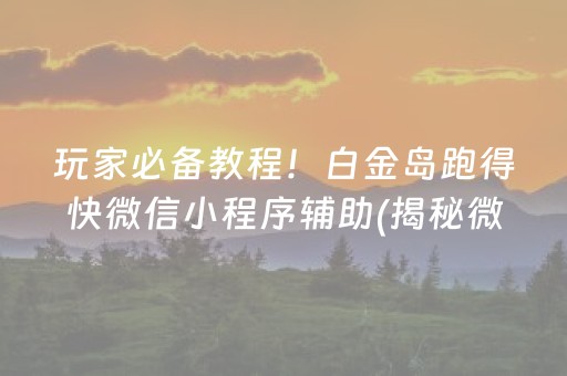 玩家必备教程！白金岛跑得快微信小程序辅助(揭秘微信里提高胜率)