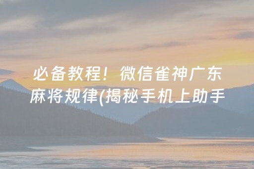 必备教程！微信雀神广东麻将规律(揭秘手机上助手软件)