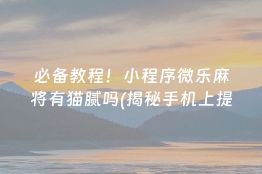 必备教程！小程序微乐麻将有猫腻吗(揭秘手机上提高胜率)