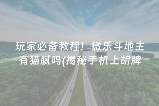 玩家必备教程！微乐斗地主有猫腻吗(揭秘手机上胡牌技巧)