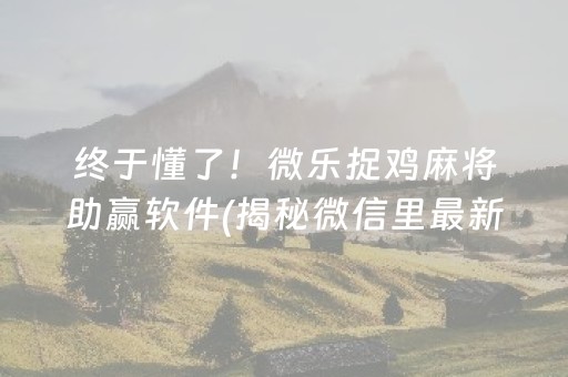 终于懂了！微乐捉鸡麻将助赢软件(揭秘微信里最新神器下载)