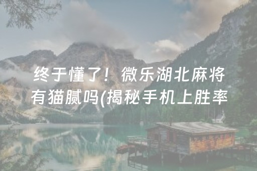 终于懂了！微乐湖北麻将有猫腻吗(揭秘手机上胜率到哪调)