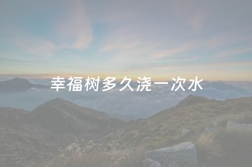 幸福树多久浇一次水（平安幸福树多久浇一次水）