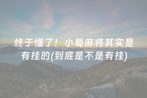 终于懂了！小蜀麻将其实是有挂的(到底是不是有挂)