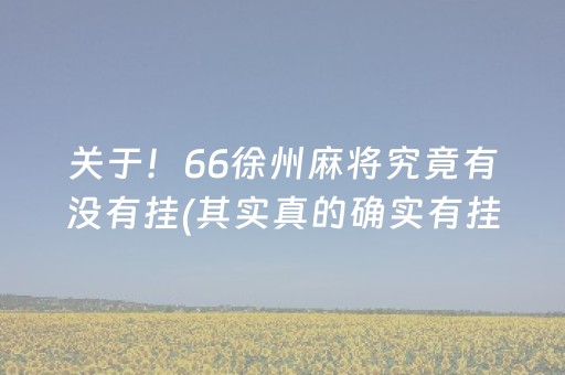 关于！66徐州麻将究竟有没有挂(其实真的确实有挂)