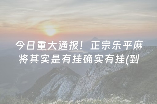 今日重大通报！正宗乐平麻将其实是有挂确实有挂(到底是不是有挂)