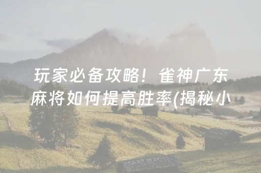 玩家必备攻略！雀神广东麻将如何提高胜率(揭秘小程序赢牌技巧)