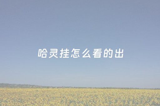 哈灵挂怎么看的出（哈灵真的有吗?）