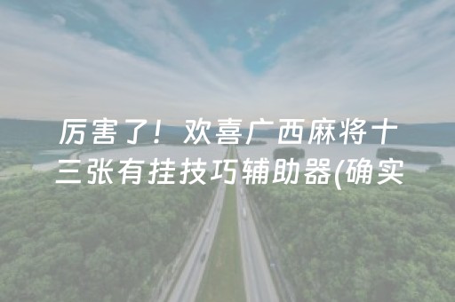 厉害了！欢喜广西麻将十三张有挂技巧辅助器(确实有挂吗)