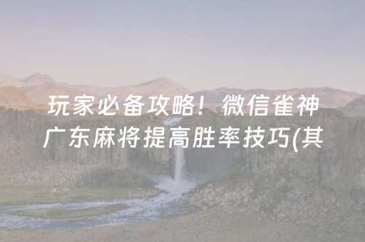 玩家必备攻略！微信雀神广东麻将提高胜率技巧(其实真的确实有挂)