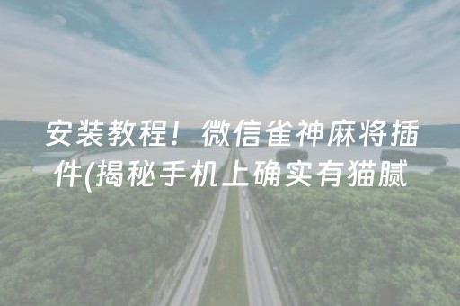 安装教程！微信雀神麻将插件(揭秘手机上确实有猫腻)