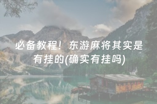 必备教程！东游麻将其实是有挂的(确实有挂吗)