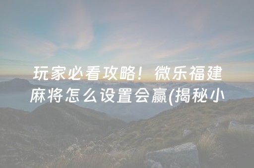 玩家必看攻略！微乐福建麻将怎么设置会赢(揭秘小程序胡牌神器)