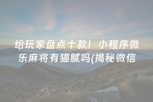 给玩家盘点十款！小程序微乐麻将有猫腻吗(揭秘微信里攻略插件)