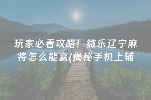 玩家必看攻略！微乐辽宁麻将怎么能赢(揭秘手机上辅牌器)