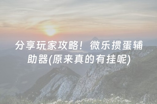 分享玩家攻略！微乐掼蛋辅助器(原来真的有挂呢)