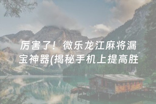 厉害了！微乐龙江麻将漏宝神器(揭秘手机上提高胜率)