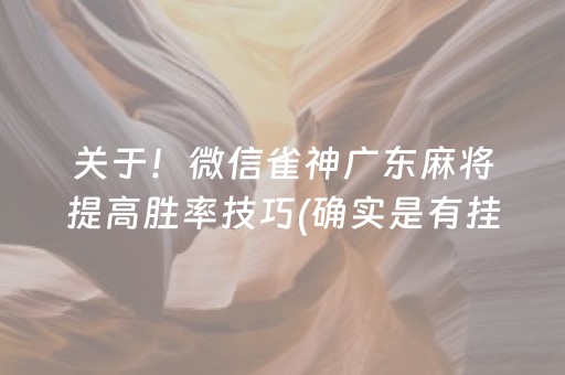 关于！微信雀神广东麻将提高胜率技巧(确实是有挂的)