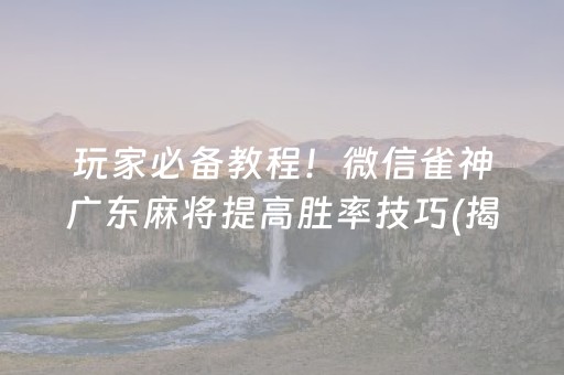 玩家必备教程！微信雀神广东麻将提高胜率技巧(揭秘微信里输赢规律)