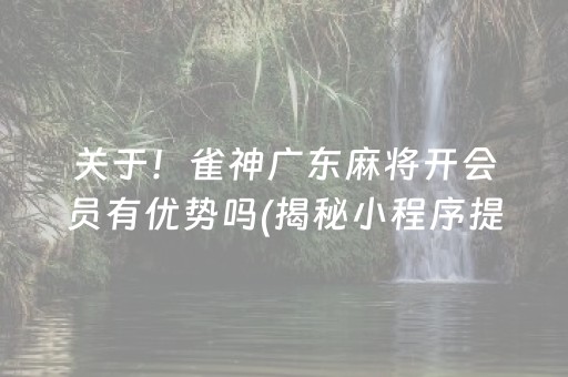 关于！雀神广东麻将开会员有优势吗(揭秘小程序提高胜率)