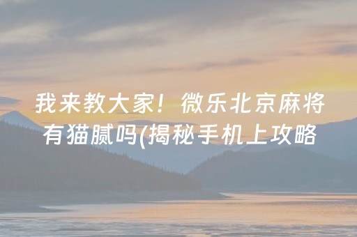 我来教大家！微乐北京麻将有猫腻吗(揭秘手机上攻略插件)