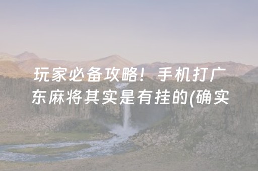 玩家必备攻略！手机打广东麻将其实是有挂的(确实有挂吗)