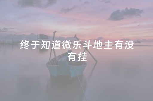 终于知道微乐斗地主有没有挂（微乐斗地主免费的挂怎么弄）