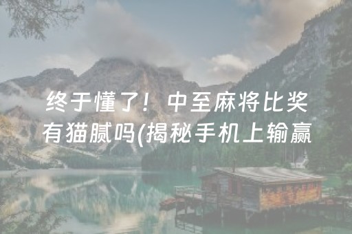 终于懂了！中至麻将比奖有猫腻吗(揭秘手机上输赢规律)