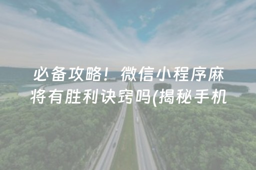 必备攻略！微信小程序麻将有胜利诀窍吗(揭秘手机上助手软件)