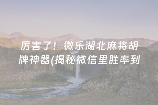 厉害了！微乐湖北麻将胡牌神器(揭秘微信里胜率到哪调)