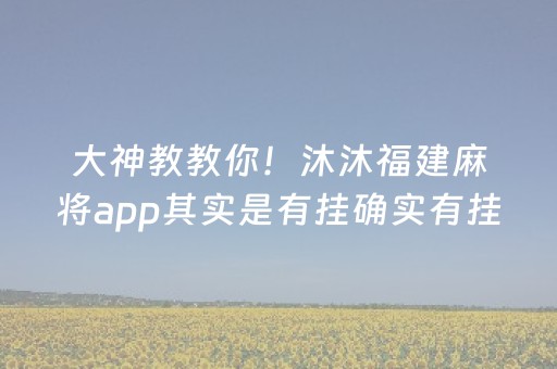 大神教教你！沐沐福建麻将app其实是有挂确实有挂(有挂技巧辅助器)