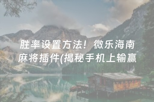 胜率设置方法！微乐海南麻将插件(揭秘手机上输赢规律)