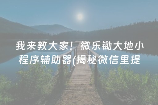 我来教大家！微乐锄大地小程序辅助器(揭秘微信里提高胜率)