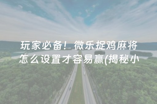 玩家必备！微乐捉鸡麻将怎么设置才容易赢(揭秘小程序提高胜率)