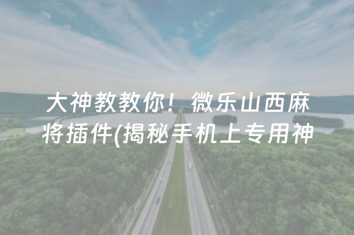 大神教教你！微乐山西麻将插件(揭秘手机上专用神器下载)