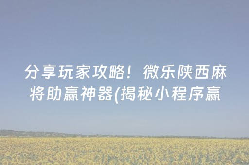 分享玩家攻略！微乐陕西麻将助赢神器(揭秘小程序赢牌技巧)