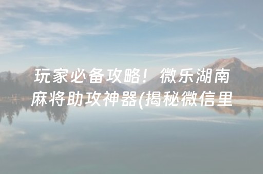 玩家必备攻略！微乐湖南麻将助攻神器(揭秘微信里怎么容易赢)