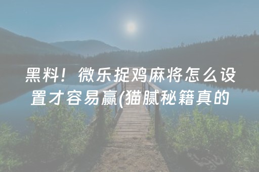 必看教程“微乐手机麻将万能挂”!专业师傅带你一起了解（详细教程）-知乎