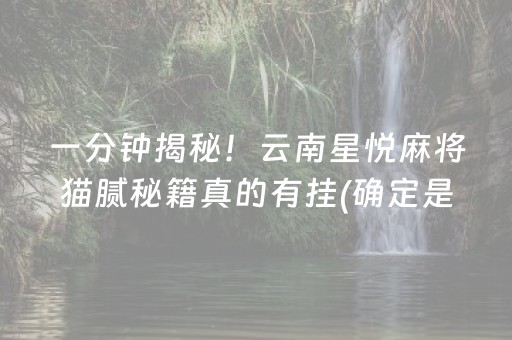 玩家必看！弈乐贵州麻将确实有挂的(十打九赢的打法)