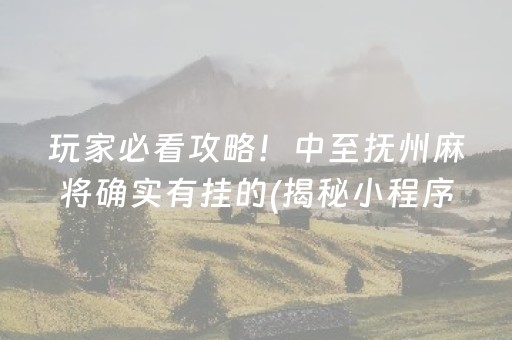 玩家必看攻略！中至抚州麻将确实有挂的(揭秘小程序赢牌的技巧)