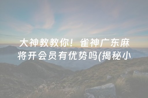 大神教教你！雀神广东麻将开会员有优势吗(揭秘小程序系统发好牌)