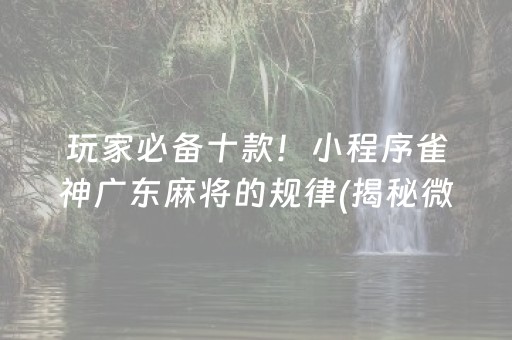 玩家必备十款！小程序雀神广东麻将的规律(揭秘微信里助赢软件)