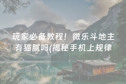 玩家必备教程！微乐斗地主有猫腻吗(揭秘手机上规律攻略)